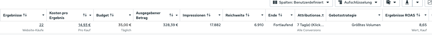 Original-Screenshot aus dem Meta Ads Manager: 22 Käufe zu 14,93 Euro pro Kauf, ROAS 8,65
