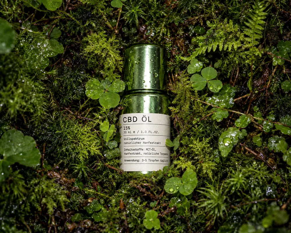 CBD-Öl-Flasche im nassen Moos